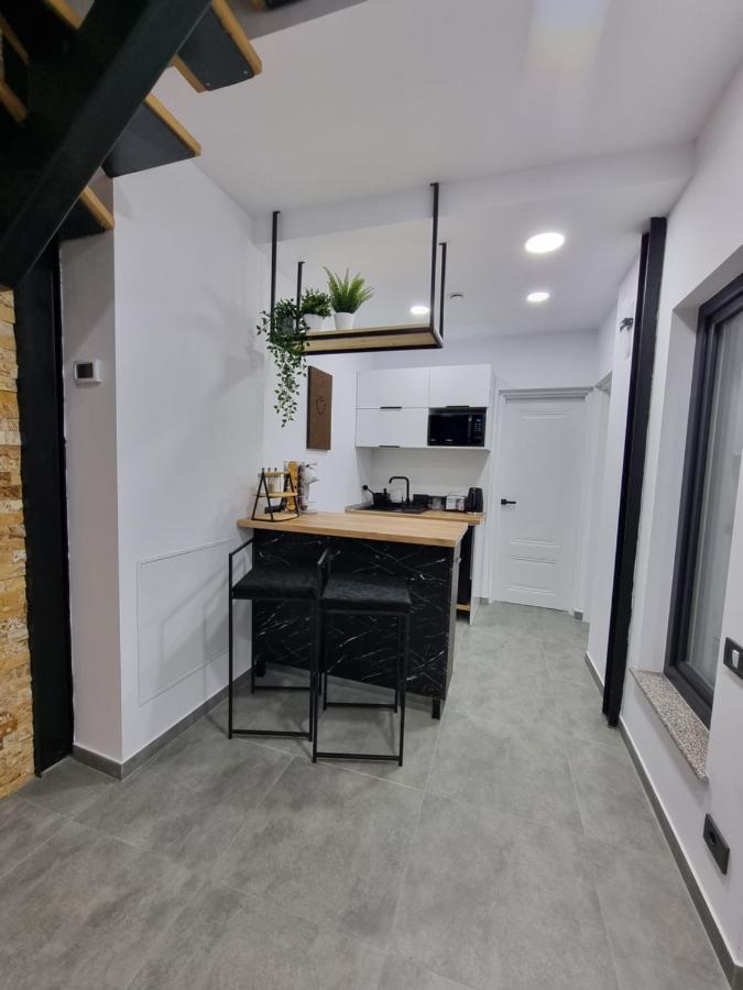 Casa Chiper - Apartament Parter Braşov Dış mekan fotoğraf